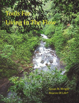 Tools for Living in The Flow