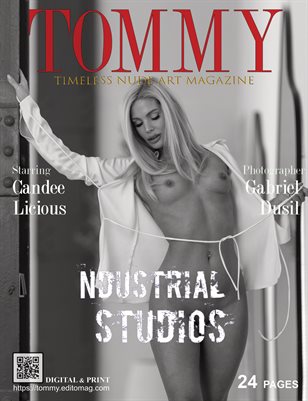 Publication preview