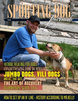 SDJ May 2013
