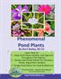 Phenomenal Pond Plants