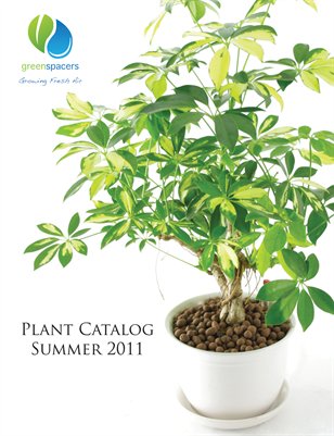 Summer 2011