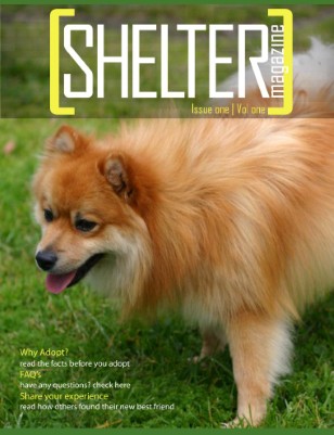 Shelter Zine