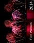 2014 Calendar Fire Works 31358
