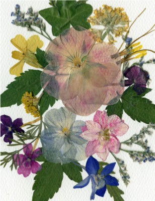 Ashley Watson