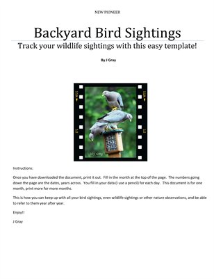 Backyard Bird Sightings