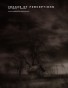 Images of Perceptions Vol. 1 - Issue II