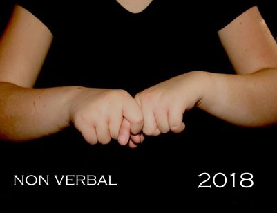 Hannah Trudo, Non-Verbal (Senior Art Exhibition 2018)