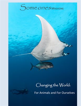 Someones Magazine: Changing the World