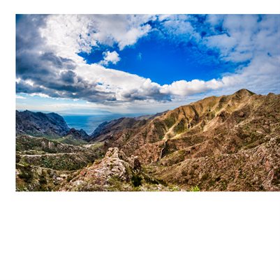 New Publication (168)