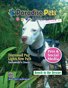 Paradise Pets Magazine, Key West, FL Vol. 2 Issue 4