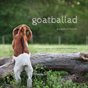 goatballad: a pasture hymn