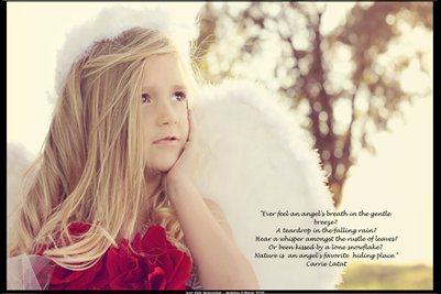 Angel Insert Dec 2012