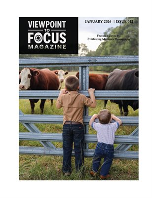 Viewpoint to Focus Mag -ISSUE 12- Tog Features