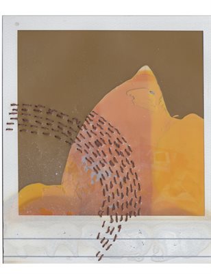 The Expired Polaroid Project