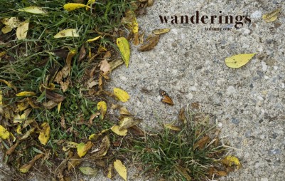 wanderings, volume one