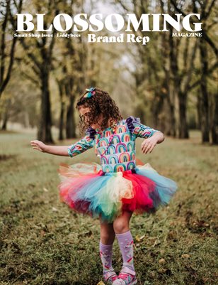 Liddybees Small Shop Issue