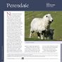 Guide to Fiber Intensive: Perendale