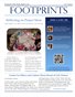 Footprints V_03