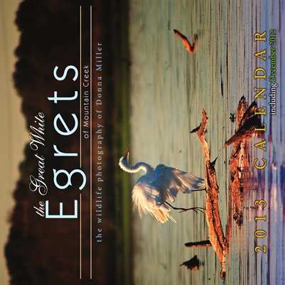 The Egrets of Mountain Creek-2013 Calendar