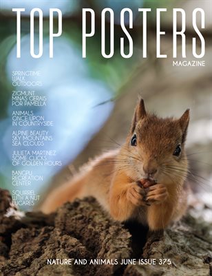  TOP POSTERS MAGAZINE- NATURE AND ANIMALS JUNE (Vol 375)