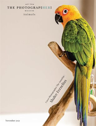 Animals | November 2021 