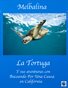 Melbalina the Turtle and her Adventures with Diving For A Cause in California in Spanish