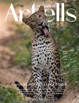 Publication preview