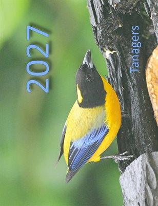 Tanagers 2027