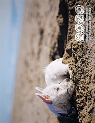 For the Love of Pete