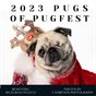 2023 Pugs of Pugfest