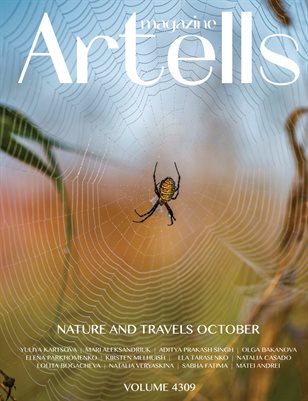 Publication preview