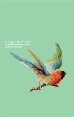 A Single Hurt Color by Andrew Demcak