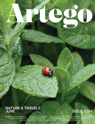 Publication preview