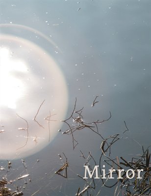 The Mirror 2013
