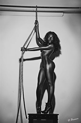 New Publication (86)