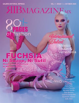 RIBMagazinemx Vol.1 / Issue 1