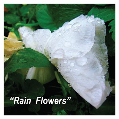 "Rain Flowers"