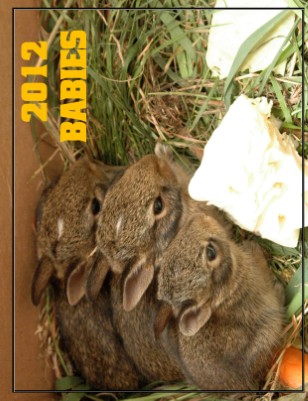 BABIES 2012