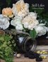 Still Lifes, Perfect Bound Edition