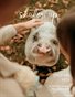 Shutter Up Magazine Issue 648 Pets