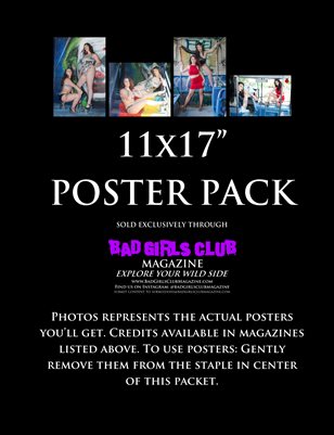 Busty Beauties - Gorgeous Gals Want to Take You on a Bus Ride Poster Pack