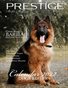 PMM_ Calendar 2022 Dog P1 1/2021