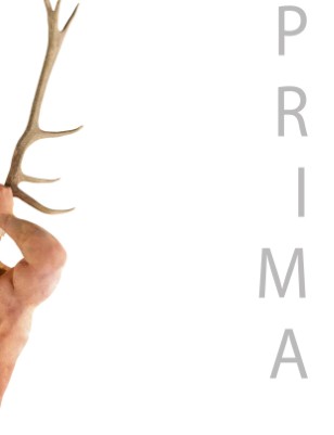 PRIMA 