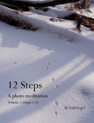 12 steps volume 1