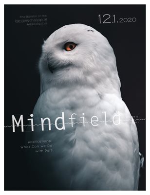 Mindfield 12.1