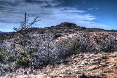 Wichita Mountains Wildlife Refuge