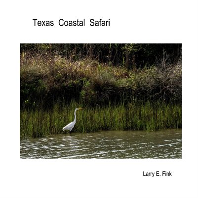 Texas Coastal Safari