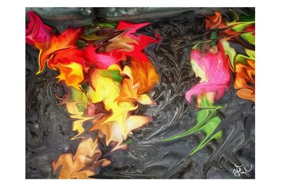 Fallen Wet Autumn Leaves