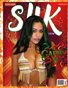 Silk Magazine Issue #4:  Gabby B Music (cover)