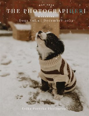 Dogs Vol.1 | December 2024